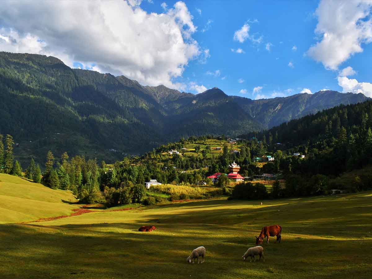 Courses, Internships & Career Pathways in Dharamshala