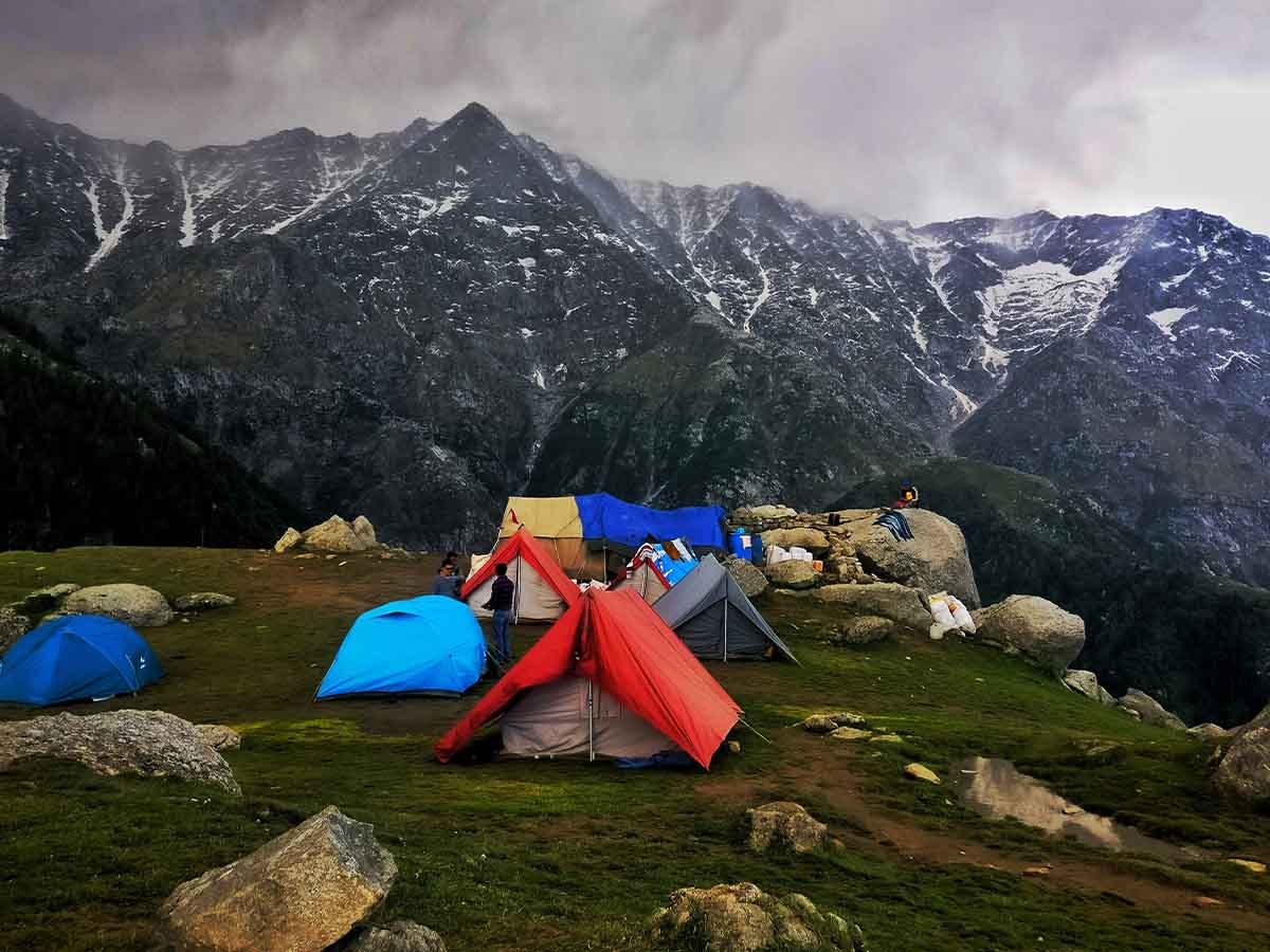 Courses, Internships & Career Pathways in Kullu