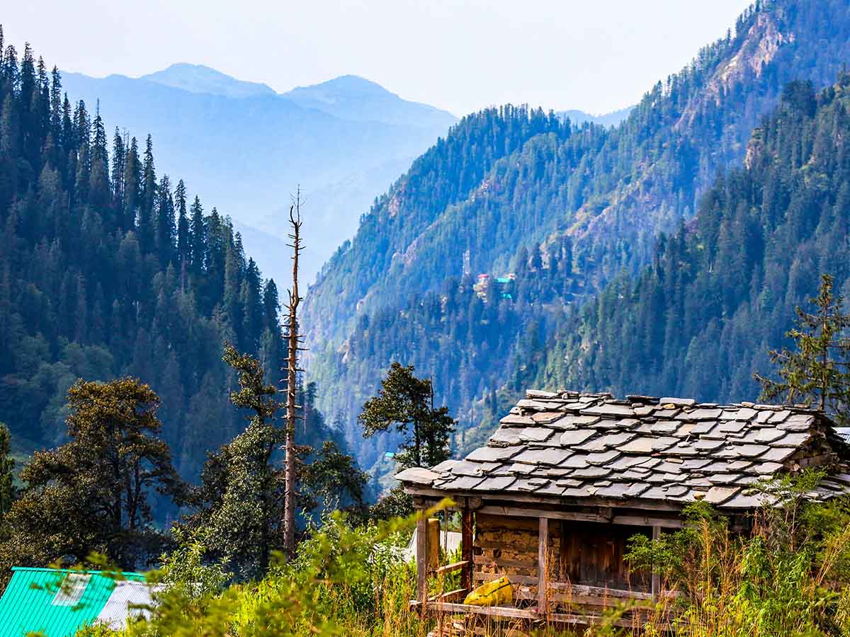 Courses, Internships & Career Pathways in Mandi